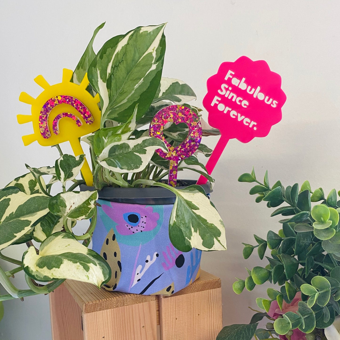 'Plant Stick' Trio Set (Neon Sunshine)